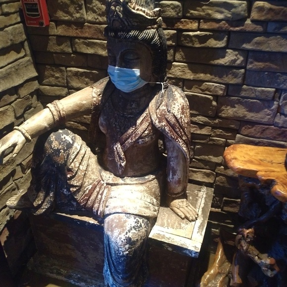 Meet your Posher, Daniel - Picture 1 of 1